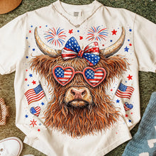 Load image into Gallery viewer, USA Highland Cow