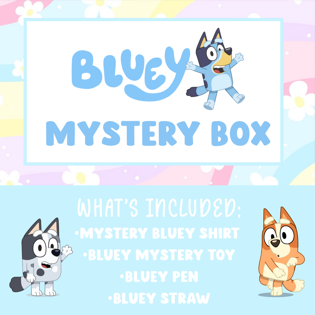 Bluey Mystery Kids Box