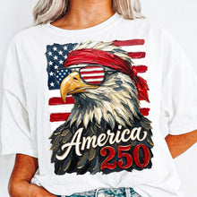 Load image into Gallery viewer, 250 Eagle
