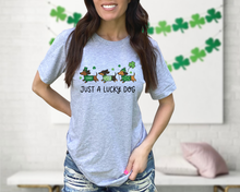 Load image into Gallery viewer, Just A Lucky Dog
