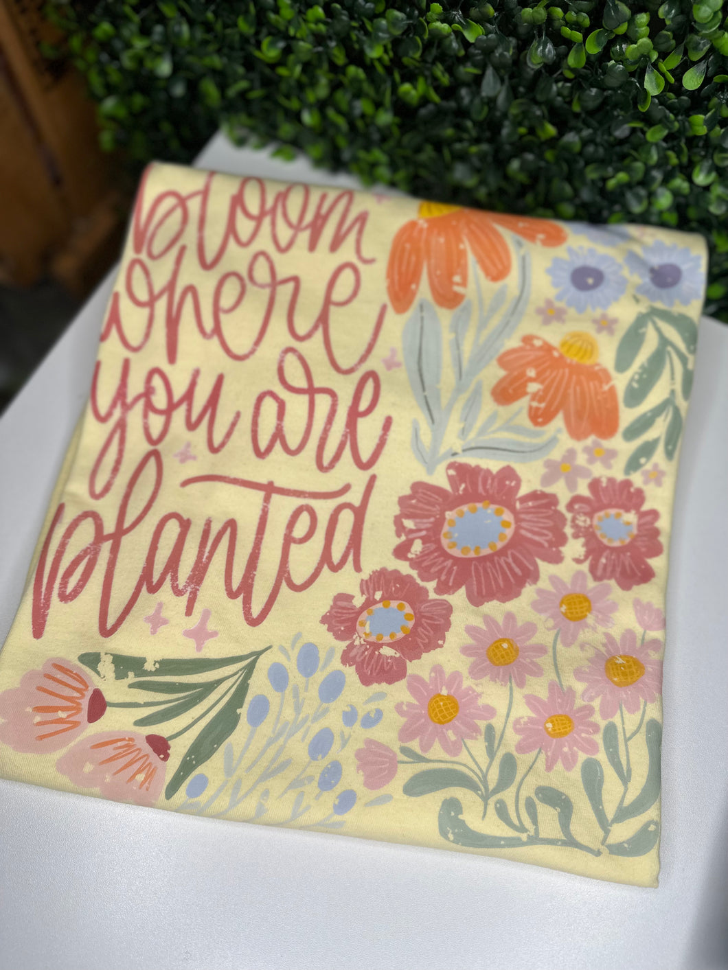 Where You Are Planted