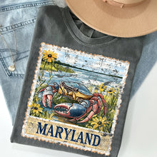 Load image into Gallery viewer, Vintage Maryland
