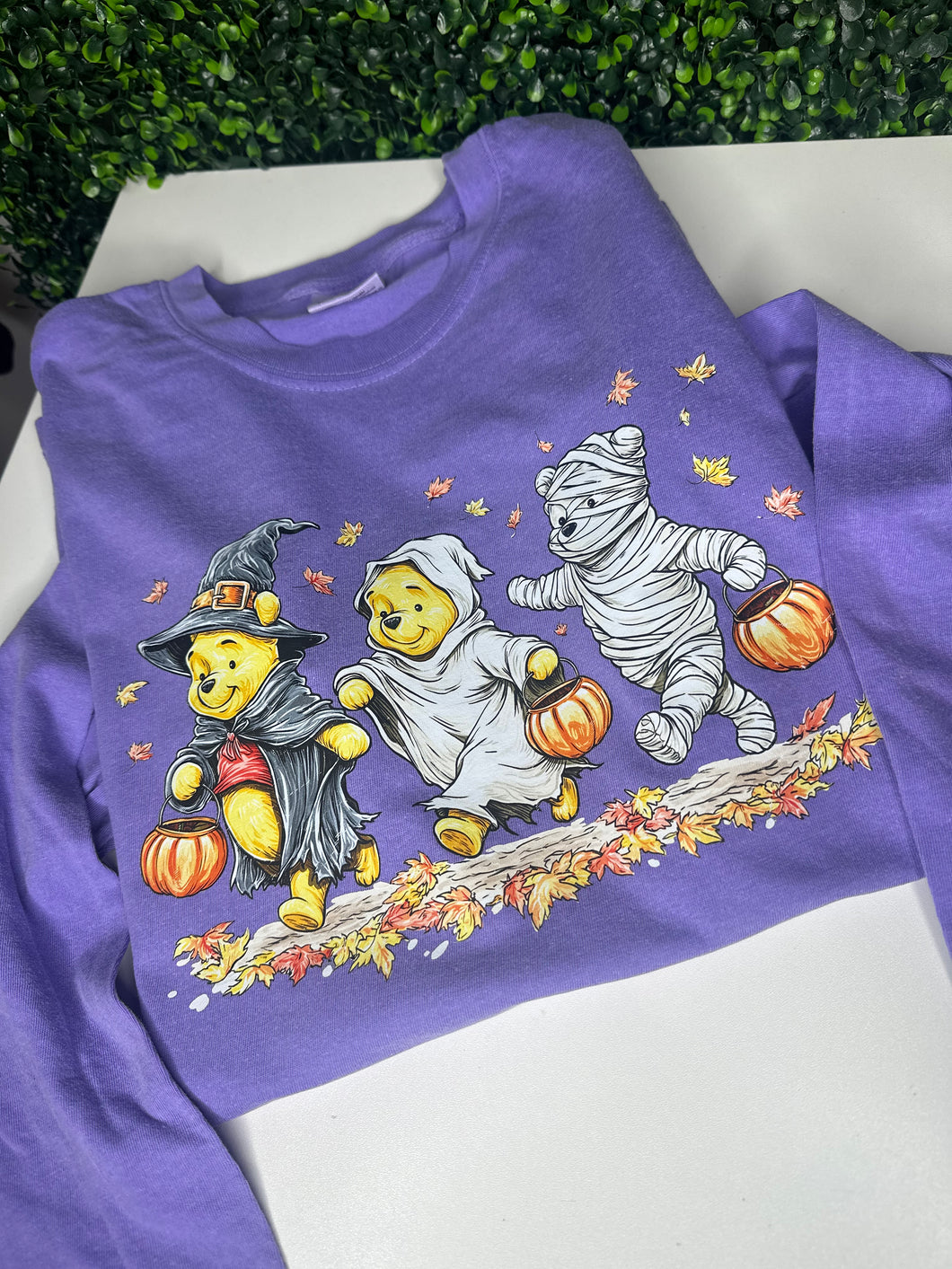 Winnie Pooh Trick or Treat