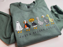 Load image into Gallery viewer, Spooky Goose Kids
