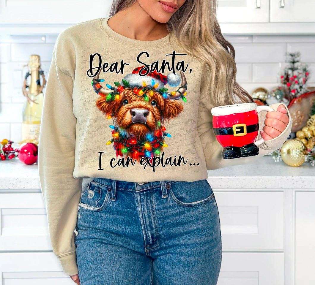 Dear Santa, I Can Explain (KIDS)