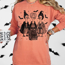 Load image into Gallery viewer, Goose Sistaaas
